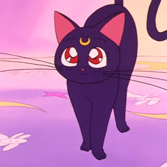 Sailor Moon OST - Waiting