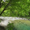 Beautiful Relaxing Music - Flute, Guitar & Piano Music with Birds Singing