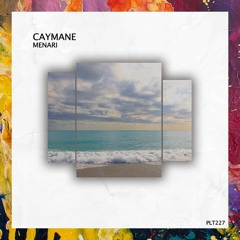 PREMIERE: Caymane — Senja (Original Mix) [Polyptych]