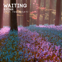 Waiting (feat. Tom Bailey) (Radio Edit)