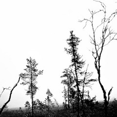 Bertis Beste aber diesmal wirklich.