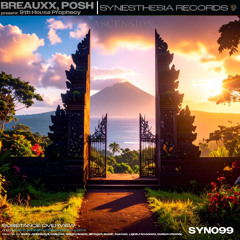 9th House Prophecy | Radiate | Ascension (Extended) [SYN099