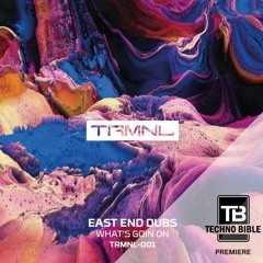 TB Premiere: East End Dubs - What's Goin On [TRMNL]