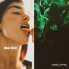 HOUDINI (Dua Lipa) x VOIS SUR TON CHEMIN (TECHNO) (BASSTON, STRØBE)