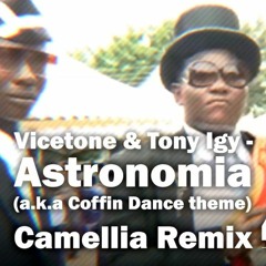 Vicetone - Astronomia (aka Coffin Dance)Camellia Remix
