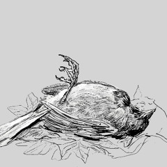 Space Against Oscillating Cells Escape