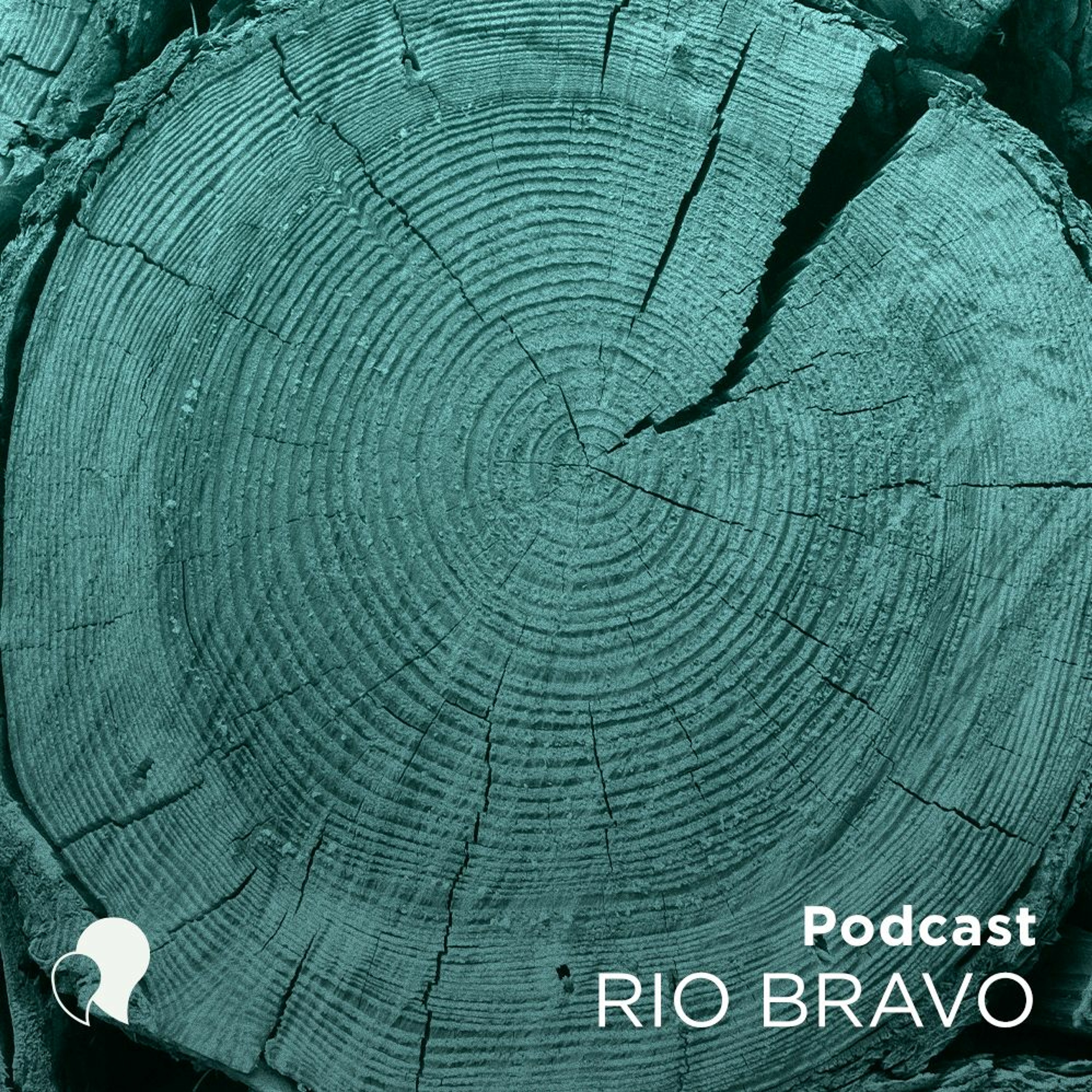 Podcast 626 – Arquimedes Costa: A madeira engenheirada e o amanhã da construção civil episode artwork
