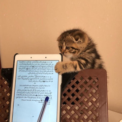 تلاوة من سورة الاحزاب {وَقَرْنَ فِى بُيُوتِكُنَّ وَلَا تَبَرَّجْنَ تَبَرُّجَ ٱلْجَٰهِلِيَّةِ ٱلْأُولَىٰ}