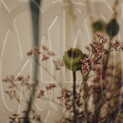 Metamorphosen 40 | Mjiajim