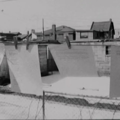 Michelle Gurevich - Love From a Distance