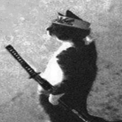 pistols on your album cover