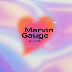 Marvin Gauge