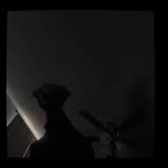 THE BOILED ONE PHENOMENON / PHEN 228