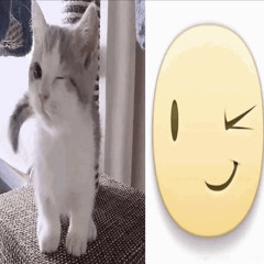 23 seconds of breakcore i made