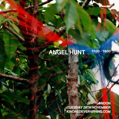 ANGEL HUNT 29.11.22