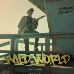 Wild World (Cover) [Official Audio]