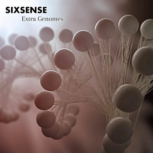 Sixsense - Extra Genomes(2021)
