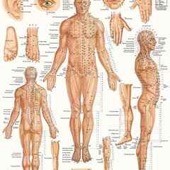 [View] PDF EBOOK EPUB KINDLE Acupressure Poster (22 x 28 inches) - Laminated: Anatomy of Points for