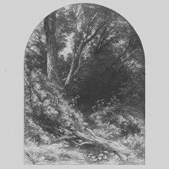 El bosque de los sueños