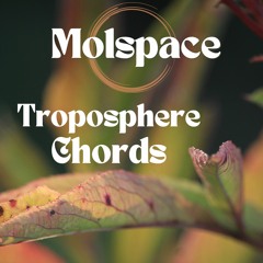 Molspace - Troposphere Leaves