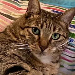 music for a video game