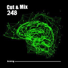 248 - K_XAU66g