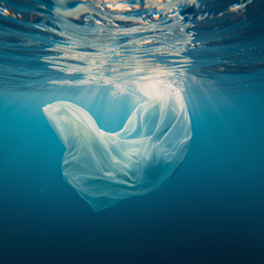 Nobody Epic - After Silence