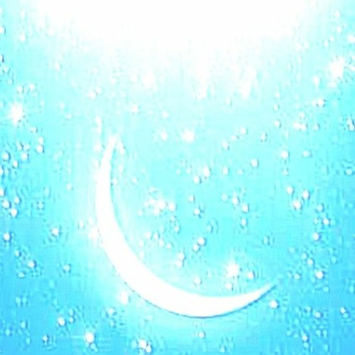 crescent +arl (nightiger)⋆⁺₊⋆ ☾⋆⁺₊⋆