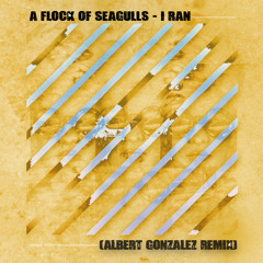A Flock Of Seagulls - I Ran (Albert Gonzalez Remix) [FREE DOWNLOAD]