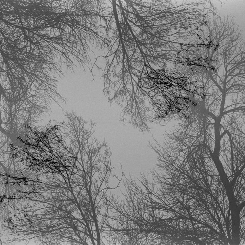 deep avantgarde, experimental techno, advanced