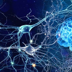 Neuroplasticity ( out now on my bandcamp )