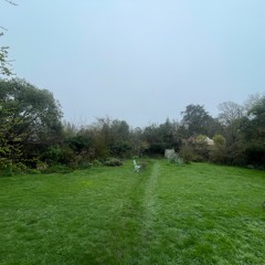 West Sussex Early Morning 29.03.23