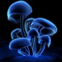 Trance/Eurodance