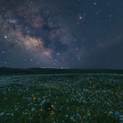 Tiệc Trà Sao (Piano)《星茶会》[Tea Party Under The Stars]