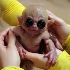 [Completo] fan bus videos baby alien car video gem jewels the fan bus