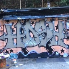 HDSH - Potom
