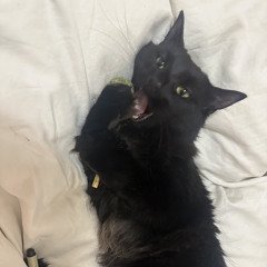 Knocked my Knee - Demo