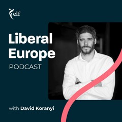 Monitoring and Safeguarding Democracy with David Koranyi