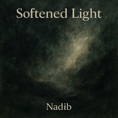 151 - Softened Light