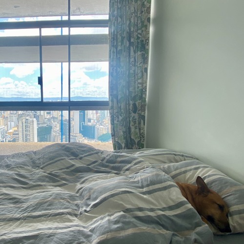 I can barely remember how it feels