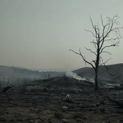 Wasteland (prod adiko2two).mp3