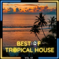 Best Tropical House Playlist | Party Ibiza Vibes 2024