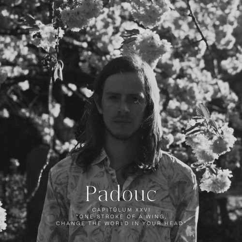 Capitŭlum XXVI: Padouc | "One stroke of a wing, change the world in your head" | AKASHA MX