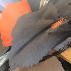 Daily Drop #5114 - In Good Company