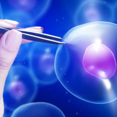 Nanø invites you to a Techno-Psychedelique journey