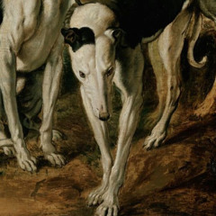 a las cosas sin nombre