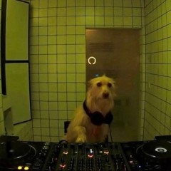 heaters that even your friend who "hates edm" will enjoy