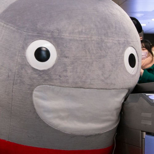冷やし