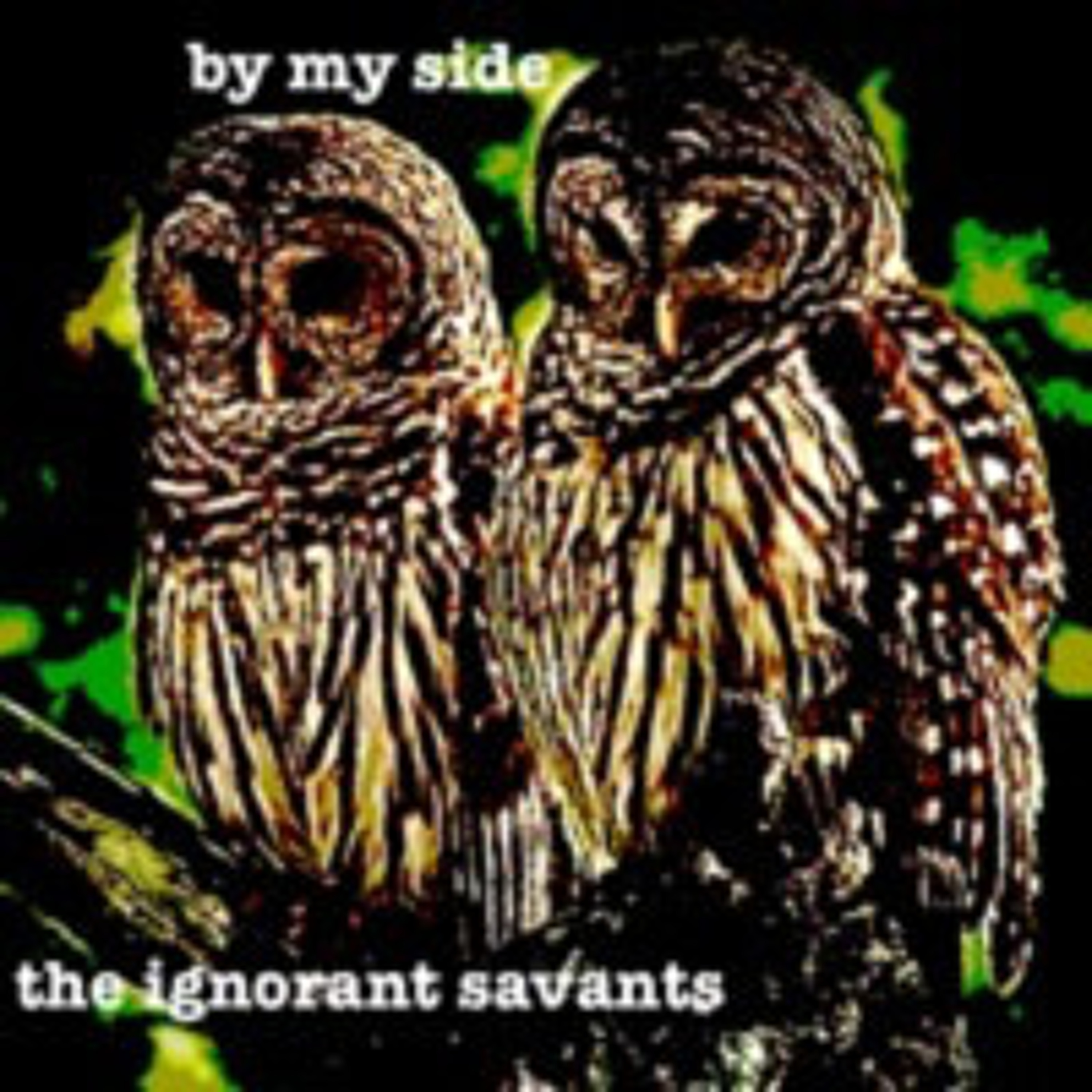 the ignorant savants