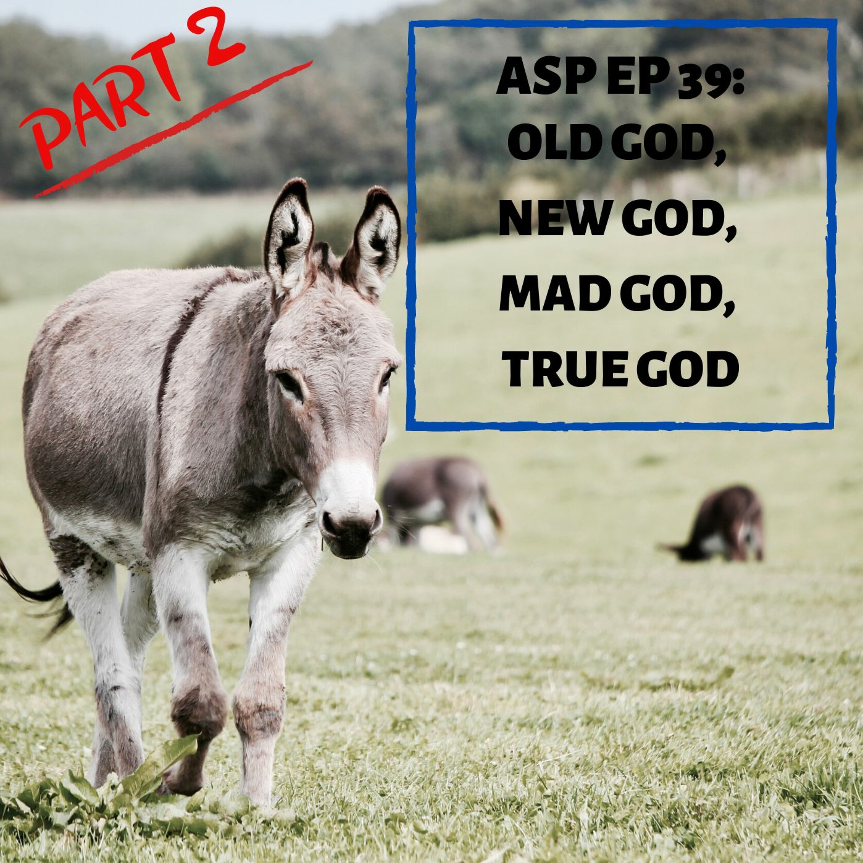 ASP Ep 39: Old God, New God, Mad God, True God (Part 2-Talking Donkey)